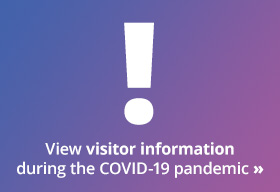 查看COVID-19大流行期间的访客信息